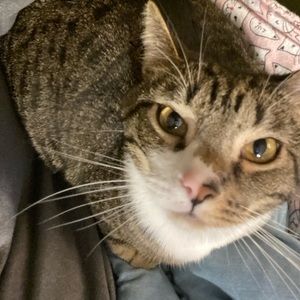 Meet your Posher, Tiffany